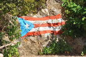 Puerto rico flag painted on background texture gray concrete with wooden floor. Hd Wallpaper Cuba Paint Flag On Rock Puerto Rico Mountain Rock Wall Shrubs Wallpaper Flare