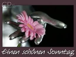 Der schwanz eines rosa panthers. Coolphotos De Grusskarten Wochentage Sonntag