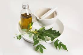 Can neem oil use as a fertilizer? What Is Neem Oil Is It Safe How To Use Selfhacked