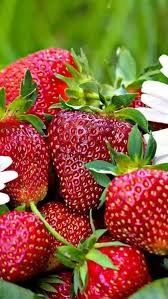 Pin On Frutas Frutas De A A Z