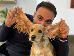 Fundraiser by Fernando Vasconcelos : No Cargo for Summer