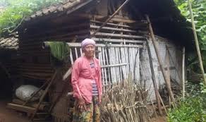 Kandang kambing atas tanah untuk ternakan kambing. Sudah Setahun Nenek Ini Tidur Di Bekas Kandang Kambing Republika Online