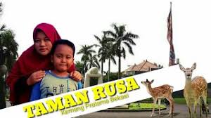 Wisata edukatif disini juga tidak. Taman Rusa Kemang Pratama Bekasi Youtube