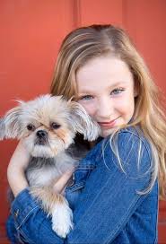 Meet my 1 yr old shorkie, Bailey.