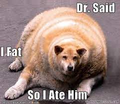Dr. Said I Fat So I Ate Him