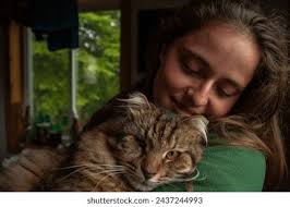 Black Cat Long Hair: Over 15,271 Royalty-Free Licensable Stock Photos