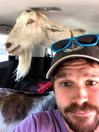 Staff and Board — willowell foundation