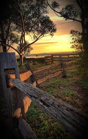 Quilting Time in Dixie