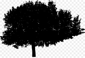 Tree Branch Silhouette Png Download 2000 1353 Free Transparent Silhouette Png Download Cleanpng Kisspng 3,383 transparent png illustrations and cipart matching bush. tree branch silhouette png download
