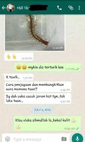 3 pantangan menggunakan mustika lipan awas. Geliga Lipan Bara Asli Everything Else Others On Carousell