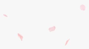 Floating yellow green leaves material falling. Cherry Blossom Petal Png Heart Transparent Png Transparent Png Image Pngitem