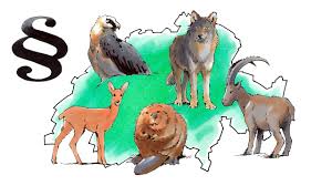 Weitere informationen zu den abstimmungsvorlagen sind hier erhältlich. Volksabstimmung Vom 27 September 2020