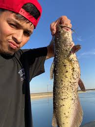 Fishing Activities and Tips for Relaxation