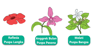Dan oleh sebab itu lebih detailnya tentang gambar mewarnai bunga matahari,mawar,tulip,melati ini, mari liat tehniknya dalam hal menggambar disni. Pembelajaran 3 Subtema 4 Pertumbuhan Dan Perkembangan Tumbuhan Mikirbae Com