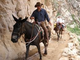 Today there are two grand canyon mule ride tours at the south rim. Bright Angel Trail Reviews U S News Travel
