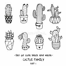 Set hand drawn black and white cactus vector. Vector Set Of Cute Black And White Cactus Family Sketchy Illustration Stock Illustration Illustration Of Ceramic Blossom 113865541