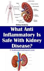 Kidney Cleanse Tea Kidney Disease Symptoms Kidney Disease Polycystic Kidney Disease