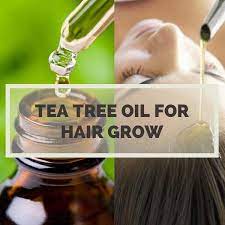 Tea Tree Oil For Hair Growth Long Hair With Tea Tree Oil Hair Remedies For Growth Hair Growth Mask Diy Tea Tree Oil For Acne