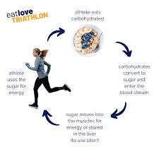 People who use low carb program have achieved weight loss. Your Triathlon Diet Should You Restrict Carbohydrates Eat Love Triathlon