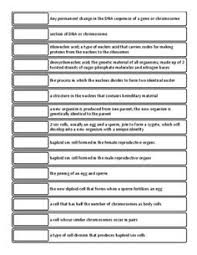 At the level of the genes, sexual reproduction is focused on the fusion of the paternal and maternal genes. 8 Cell Division Ideas Cell Division Meiosis Biology Lessons