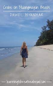 Crabs On Maungmagan Beach Dawei Learning To Breathe Abroad Myanmar Travel Beach Family Beach Pictures