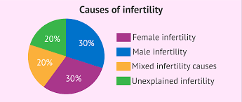 Chart The Statistics Of Infertility Causes