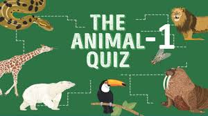 How well you know about animals? General Knowledge Quiz On Animals Part 1 Youtube