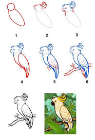 Sketsa gambar burung lovebird gambar mewarnai. Gambar Sketsa Burung Keren Yang Mudah Dibuat Dan Diwarnai