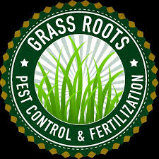 They are human and pet friendly. Grass Roots Pest Control Fertilization Pest Control Service Sunrise Florida 19 Photos Facebook