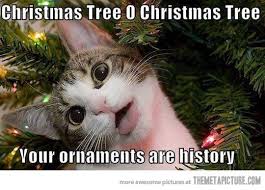 Every Cat On Christmas Christmas Memes Funny Christmas Memes Funny Animals