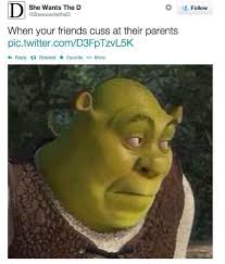 Awkward Dinner Moments At A Friend S House Shrek Shrek Memes Funny Pictures