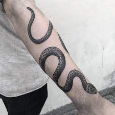 Eine Schlange Die Viel Umschlingt Eigentlich Um Den Ganzen Arm Danke Jordy Danke Eigent Traditional Snake Tattoo Snake Tattoo Design Black Snake Tattoo