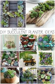 You can find a mix of indoor and outdoor ideas to brighten your home or garden. Diy Succulent Planter Ideas The Happy Housie