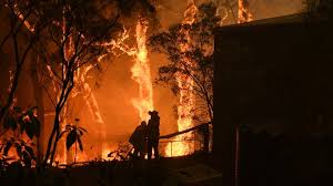 .yıl, güneydoğu'da ormanlar cayır cayır yandı, içindeki tüm hayvanlarla birlikte yanıp kül oldu. Avustralya Yanginlarinin Agir Faturasi Ortaya Cikti 3 Milyar Hayvan Etkilendi