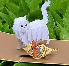 This pop up card is a little different than the others. Amazon Com Cutpopup White Cat Card Pop Up 3d Birthday Card Pop For Daughter Son Niece Nephew Kids Teenager Wonderful Gift On Birthday Christmas New Year Office Products