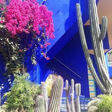 This video is an introduction to the largest of five major sonoran desert columnar cacti. Tipical Mosaico Picture Of Sahara Desert Travel Marrakech Tripadvisor