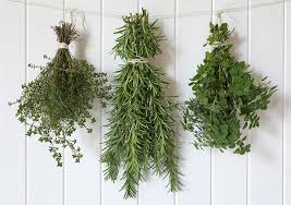 There is much to explore here, whether it is a powder to add texture to your soap such as apricot kernel or to enhance the properties of your oil blend through infusions such as calendula flowers or even something to create. Harvesting Drying And Storing Herbs Herb Gardening U Of I Extension