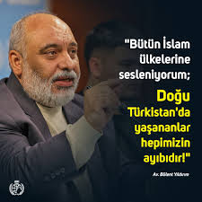 Elif Taşkıran (@eliftaskran3)