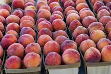 St. Joseph Farmers Market