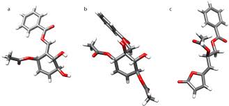 Image result for Cleistochlamys