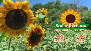 South Carolina Sunflower Festival Home Facebook