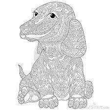 Zentangle Dachshund Teckel Dog Coloring Page Animal Coloring Books Animal Coloring Pages