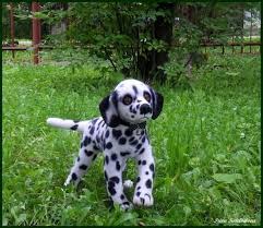 It's free to post an ad. Dalmatian Puppy By Irina Kotelnikova Handmade Teddy Bears For Sale On Tedsby