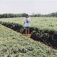 We did not find results for: Hakari Alaska Brome Best Forage