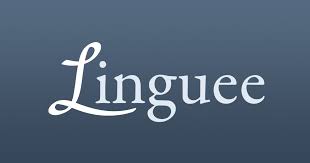 Mainly includes the change in net working capital relating to content investments, capital expenditures, and other investments. Linguee Dictionary For German French Spanish And More