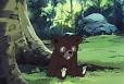 シートン動物記　くまの子ジャッキー