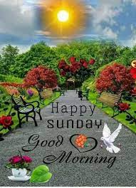 Good morning happy sunday, baby. Nature Wallpaper Nature Good Morning Happy Sunday
