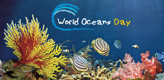 Do the preparation task first. Today Is World Oceans Day 2020 Belize News And Opinion On Www Breakingbelizenews Com