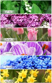 Nov 17, 2020 · if you are fascinated to see some of the world's most rare flowers, read on to find out more. Collage Of Beautiful Flowers With Names Stock Photo Picture And Royalty Free Image Image 91109361