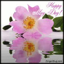 Happy May Day Funny Animated Copy The Code Above And Paste Into The Html Design V Happy Mother Day Quotes Happy Mothers Day Pictures Beautiful Flowers Images